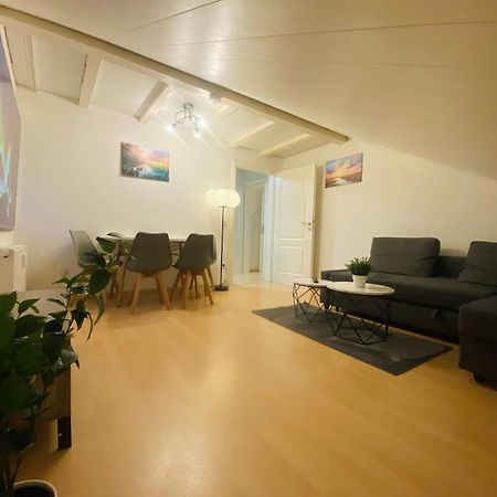 Deluxe Business Suite Mit Netflix Premium & Parkplatz, Zentral Zu Audi & Schwarz Gruppe With 2 Bedrooms 巴特腓特烈斯哈尔 外观 照片
